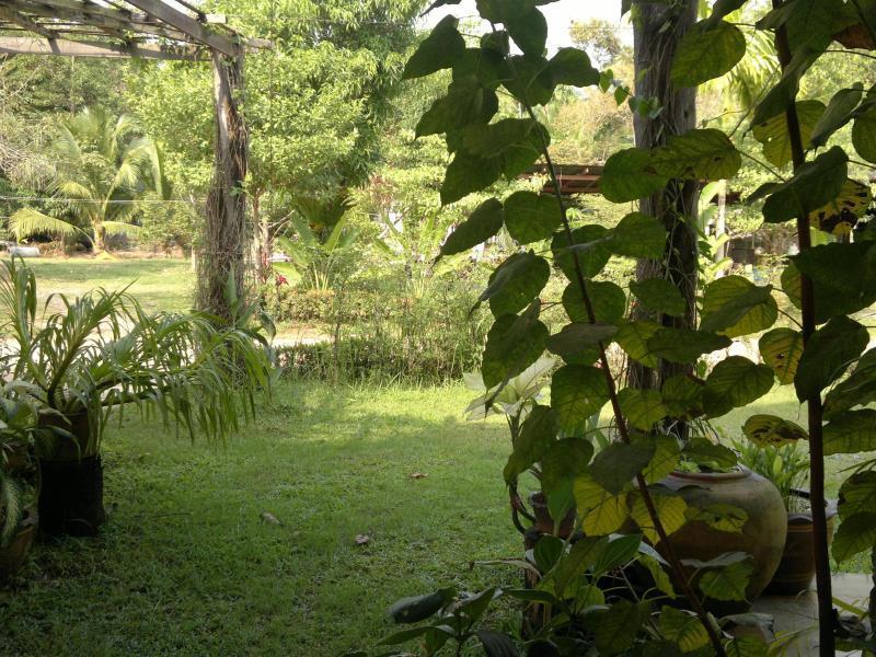 The Mangrove Hideaway Kohchang Csang-sziget Kültér fotó