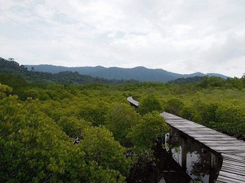 The Mangrove Hideaway Kohchang Csang-sziget Kültér fotó